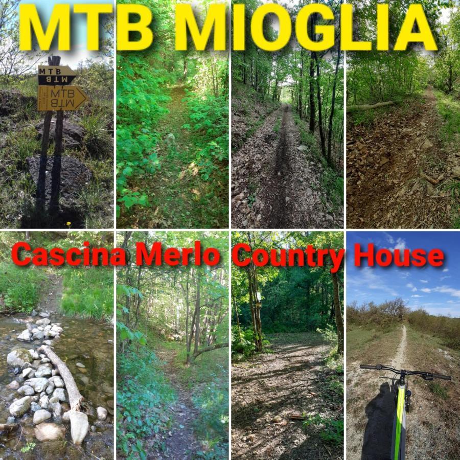 Cascina Merlo Country House Pareto Dış mekan fotoğraf