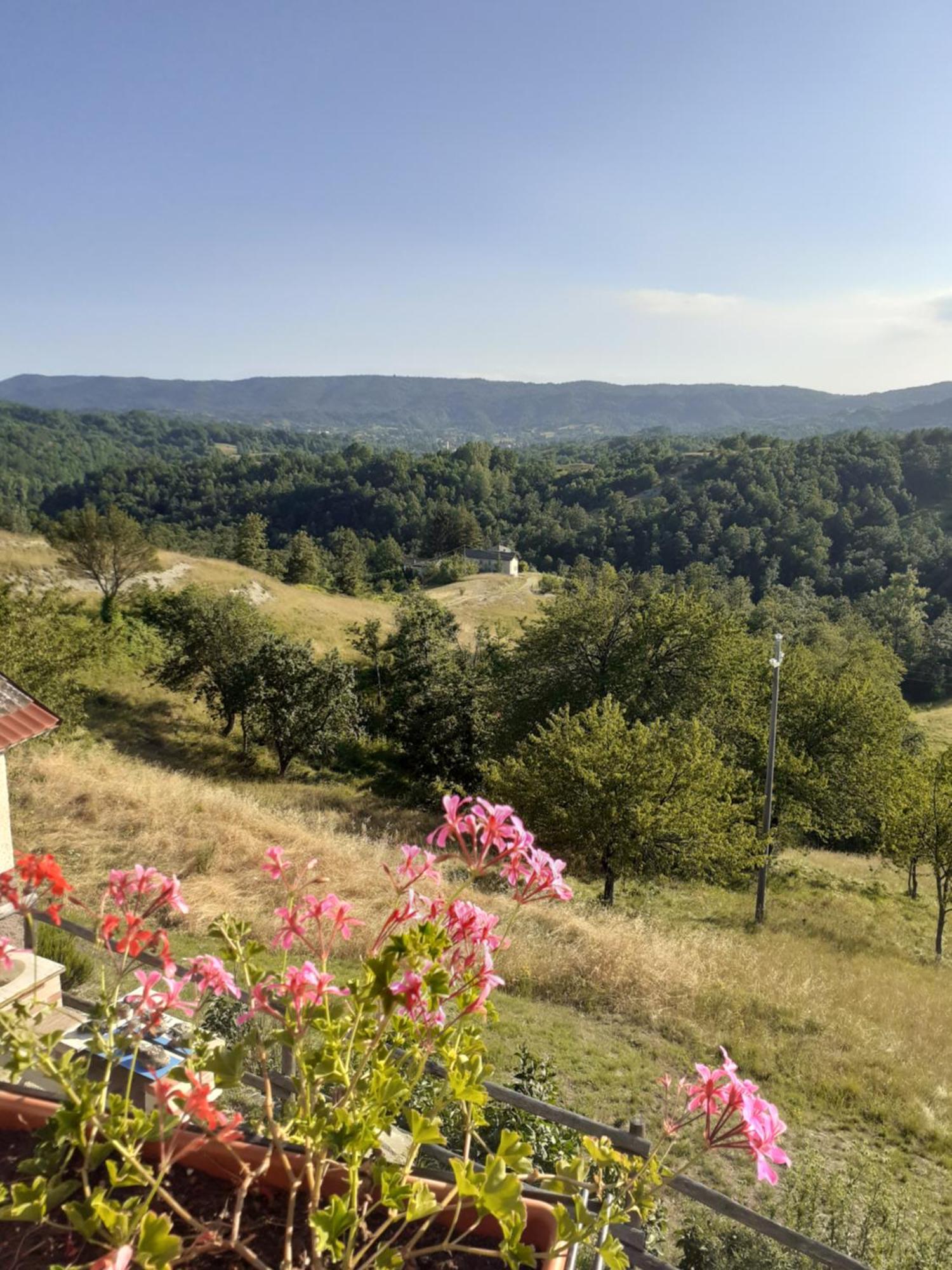 Cascina Merlo Country House Pareto Dış mekan fotoğraf